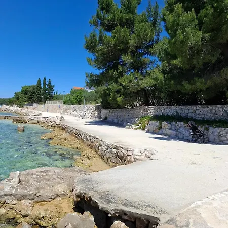 Olea