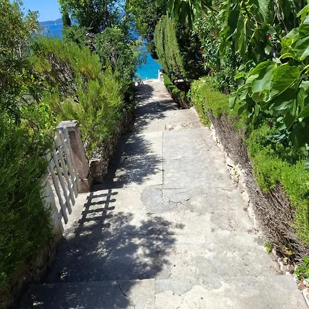 Olea Apartment